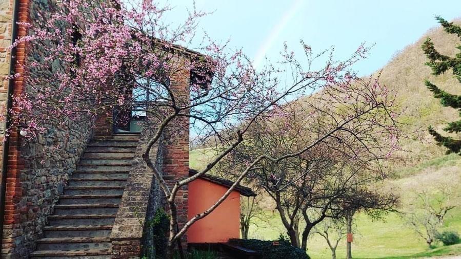 Farm stay Paradiso41 Assisi