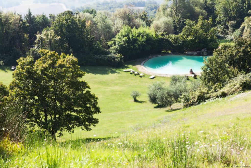 Paradiso41 Farm stay *