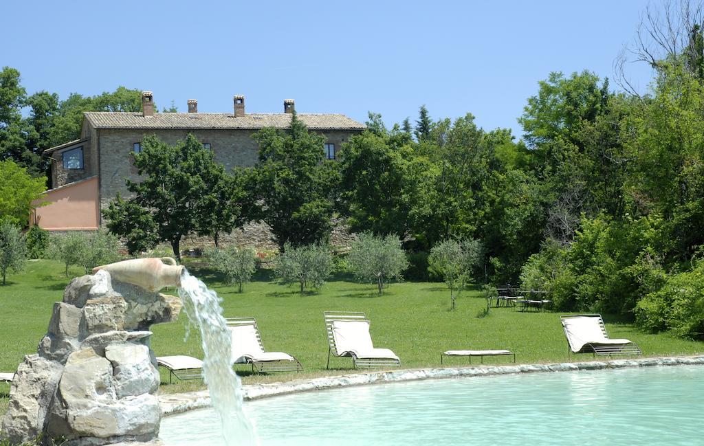 Paradiso41 Farm stay Assisi