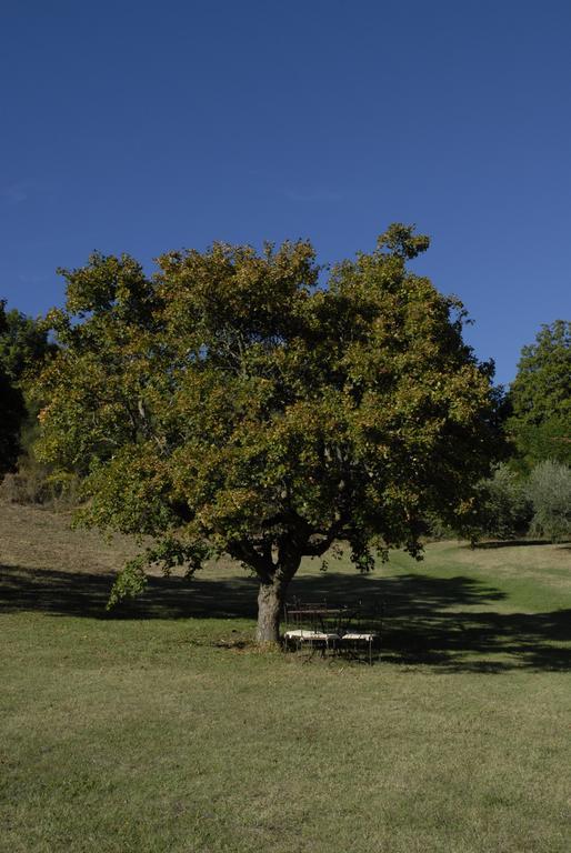 Farm stay Paradiso41