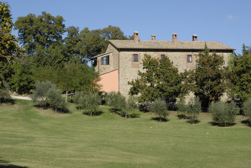 Farm stay Paradiso41 Assisi