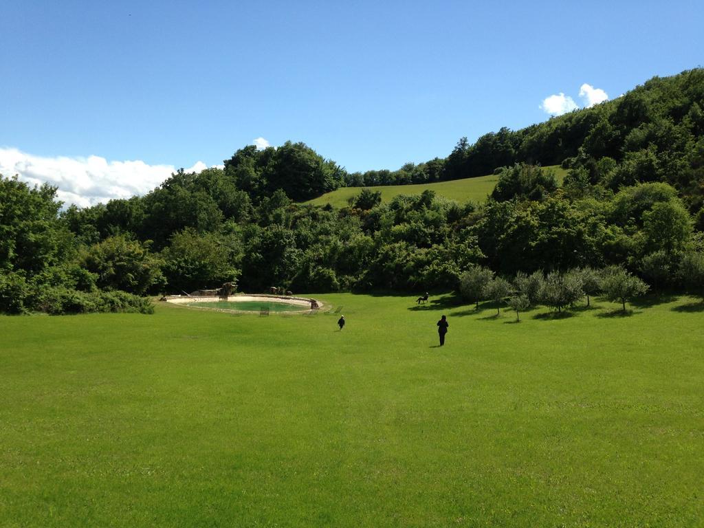 Farm stay Paradiso41