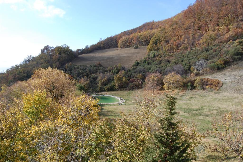 Farm stay Paradiso41 *