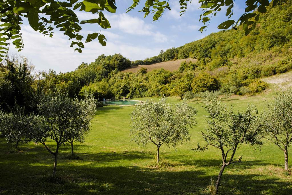 Farm stay Paradiso41