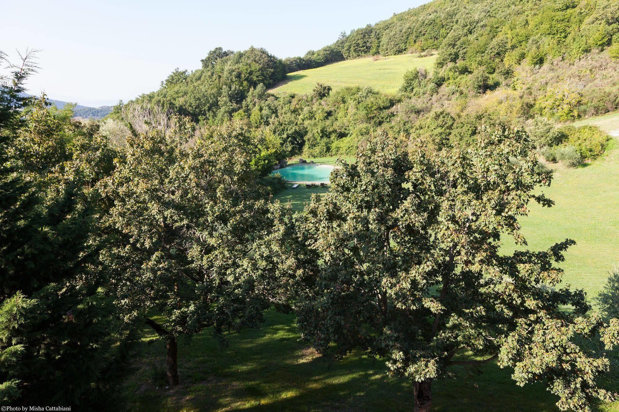Paradiso41 Farm stay