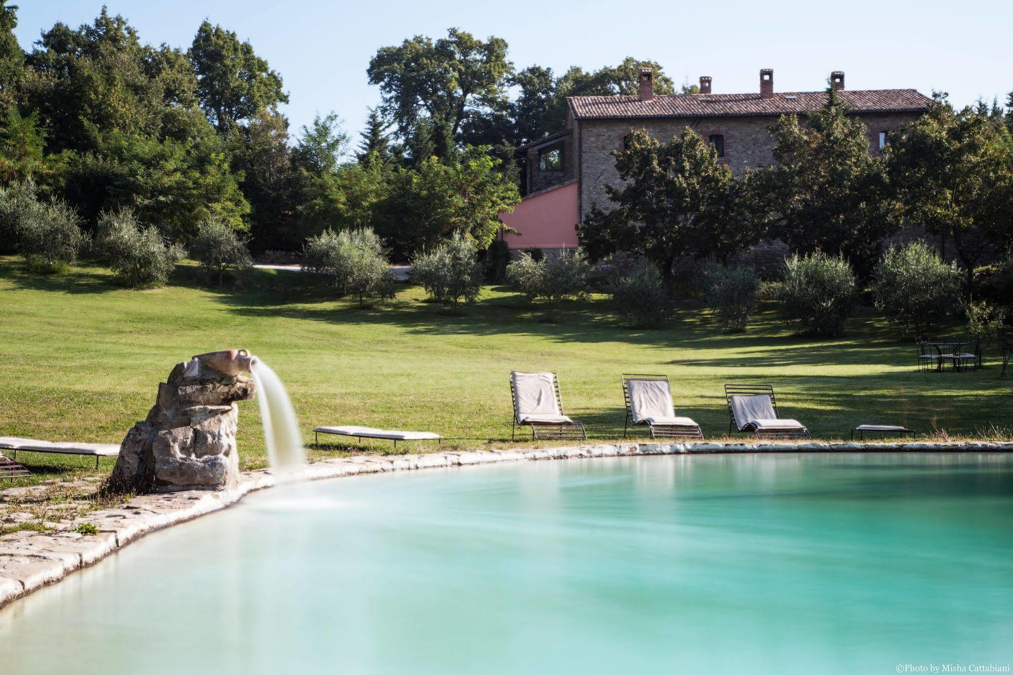Paradiso41 Farm stay