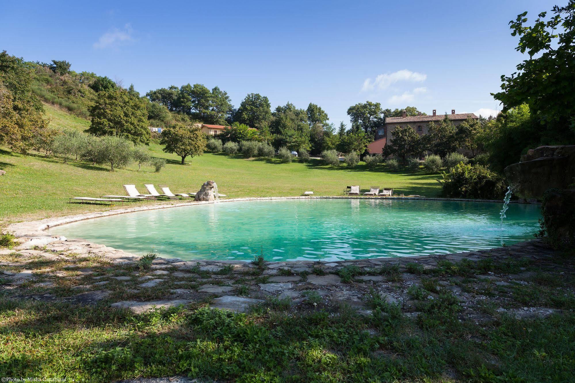 Paradiso41 Farm stay